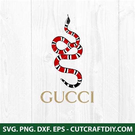 gucci snake apricot